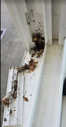 Dirty window track with leaves before cleaning